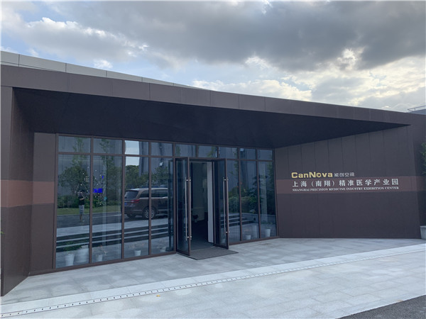 【潮涌长三角】一体化发展采访见闻：从“蓝图”到“施工图”