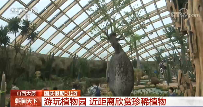 赏稻画、摘柚子、游植物园 假期休闲花样儿多!