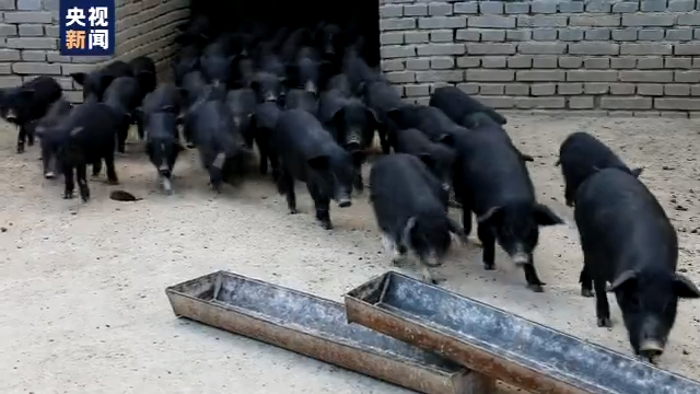 讲究的轧钢人：中国铁路重轨标准 国际最高!