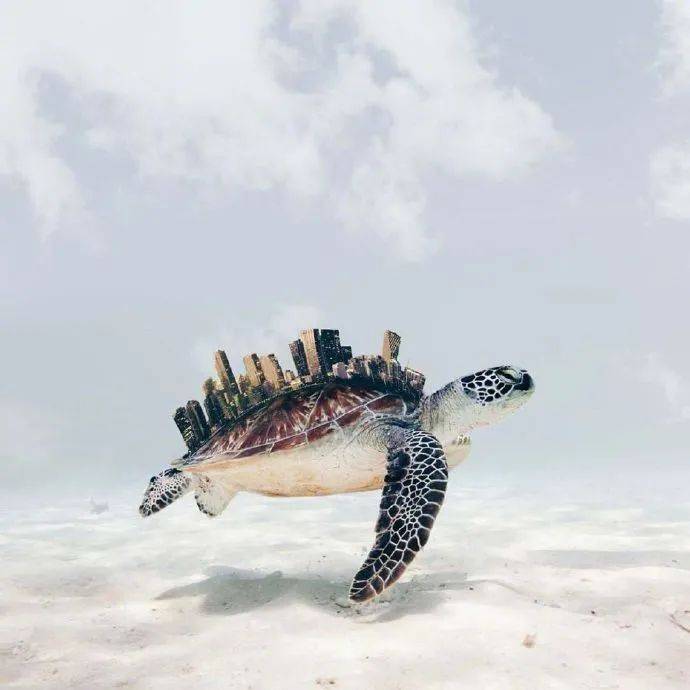 她18岁就成ps大神,张张图片都是创意神作