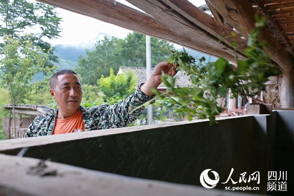 看“云端上的村庄”如何“就地生财”