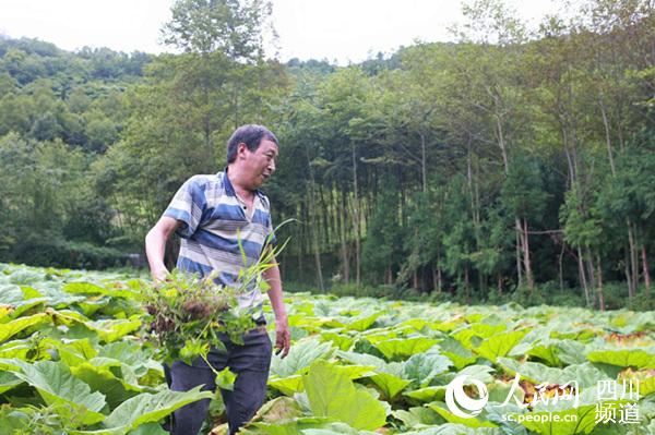 看“云端上的村庄”如何“就地生财”