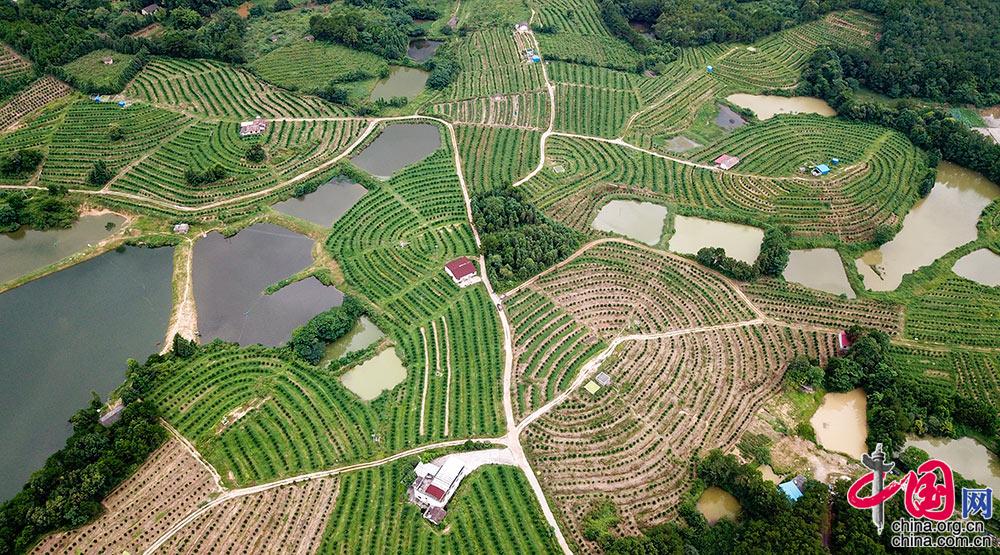 脱贫有方 致富有效 鸟瞰各地“脱贫成绩单”[组图]