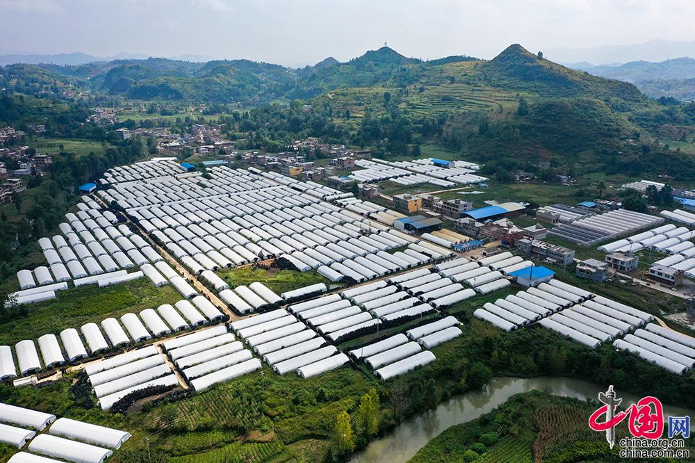脱贫有方 致富有效 鸟瞰各地“脱贫成绩单”[组图]