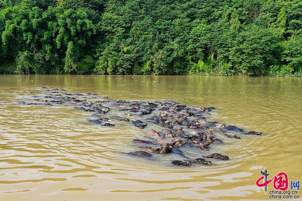 脱贫有方 致富有效 鸟瞰各地“脱贫成绩单”[组图]