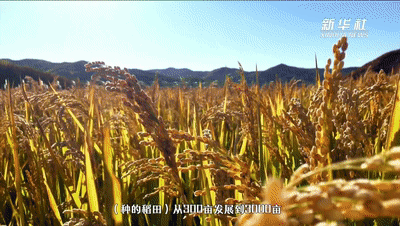 “十四五”，我想