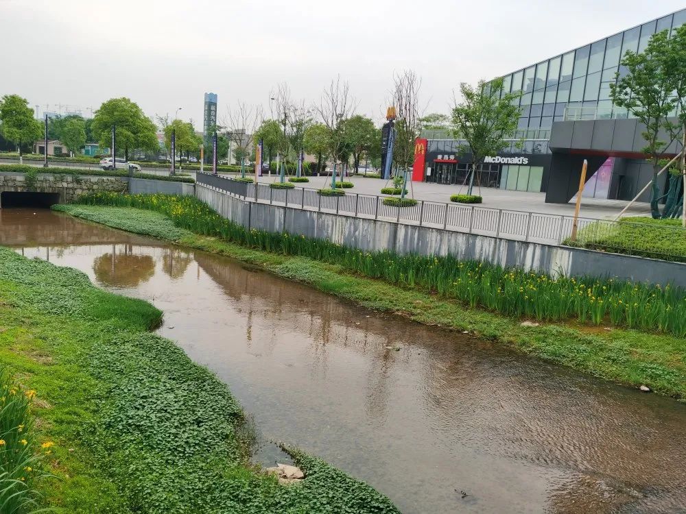 担起上游重责 再现碧水清流——龙王港高新区段流域治理纪实