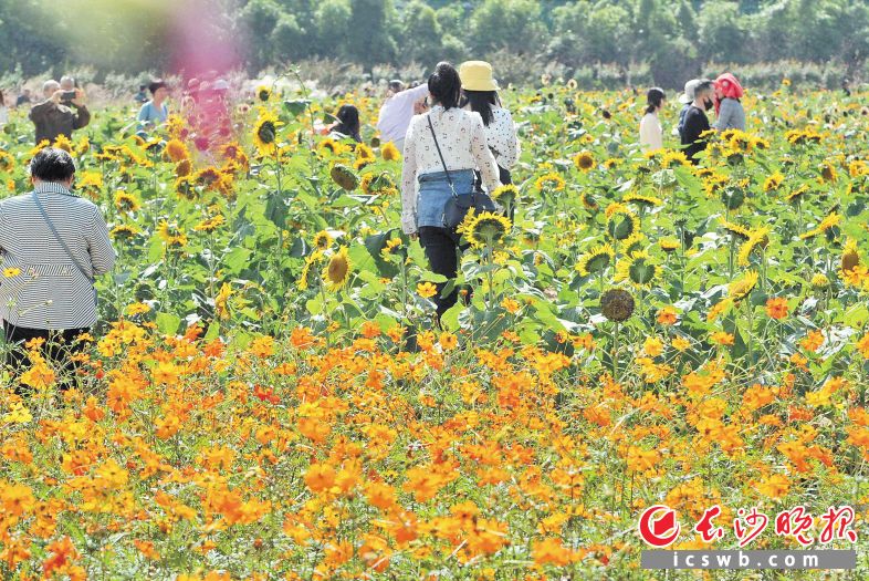 湖南省森林植物园：文明游园，脚下留情