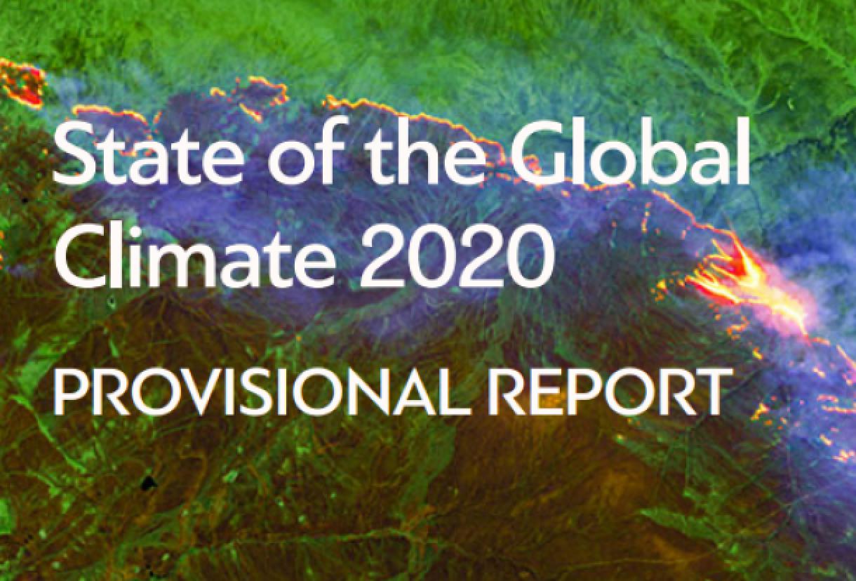 世界气象组织：2020年将成为有记录以来最暖年份之一