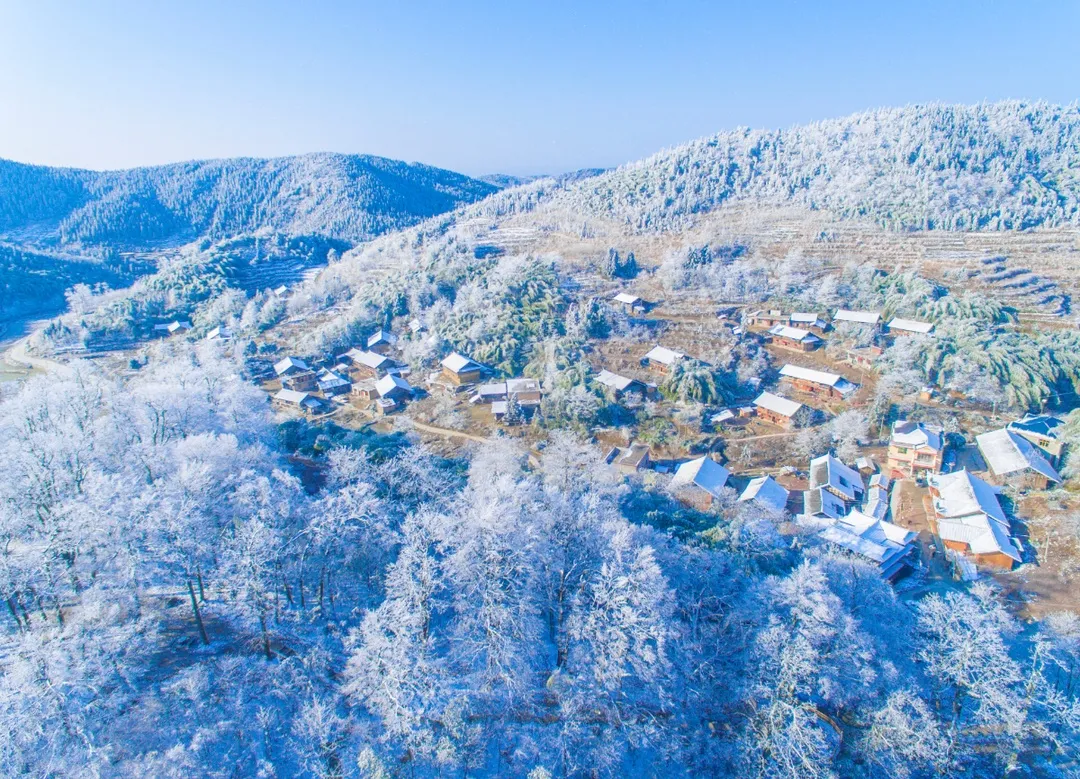 看雪不用去远方,雪峰山向你发出赏雪邀请