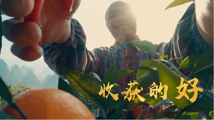 岁月最暖处，正是过年时