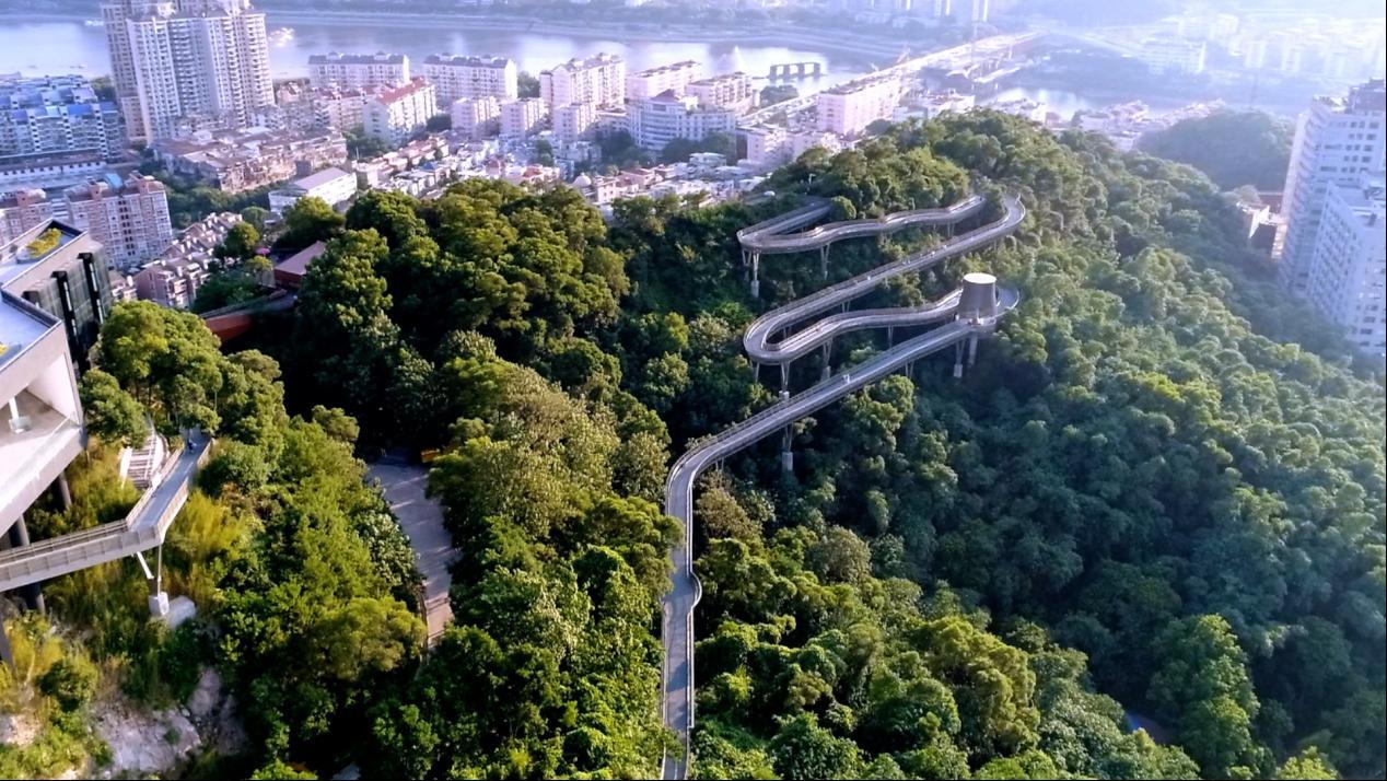 时政马上评｜跟随总书记的脚步 体会八闽大地上的奋斗与深情
