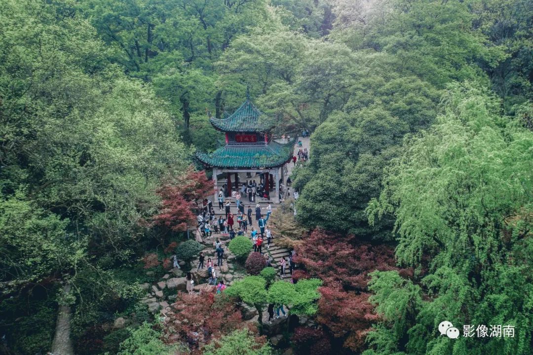 岳麓山海拔图片