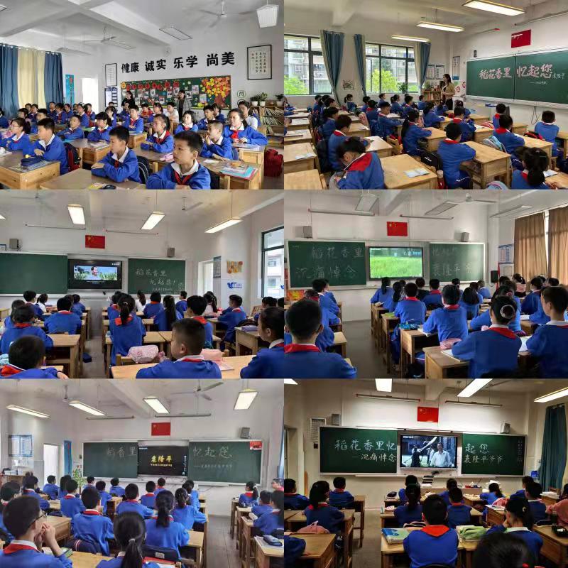 砂子塘第六都小学图片