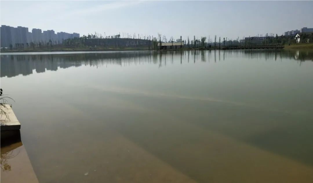 湖南省城市黑臭水体整治典型案例之十一：汉寿县龙珠渔场黑臭水体整治项目
