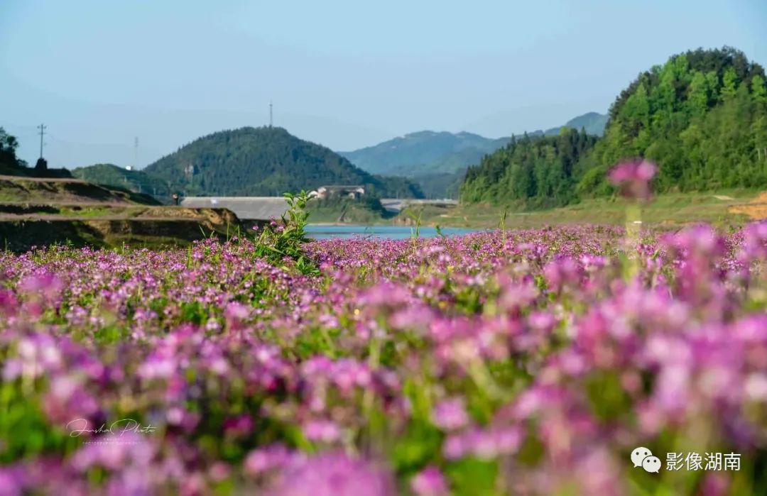 紫霞湖 銀河▼邊城茶峒▼梳子山▼小龍洞▼大龍洞▼董馬村▼湘西機場