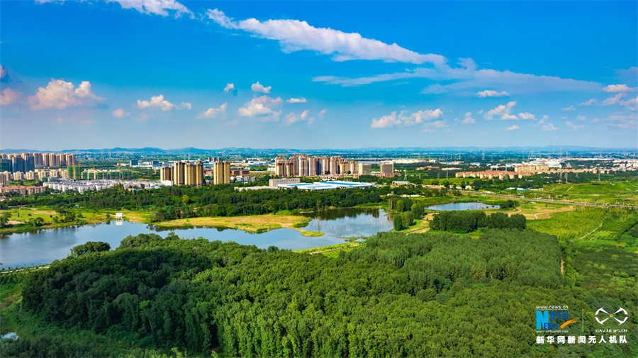 8月17日,淮南市生态城区绿意盎然.