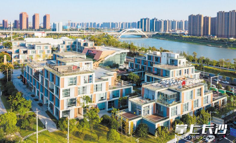 拥抱长三角 蓄势奔"北强"