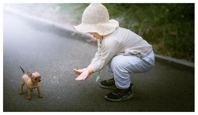 若是孩子智商高，一般会有3个小缺点，家长别让孩子强行改正
