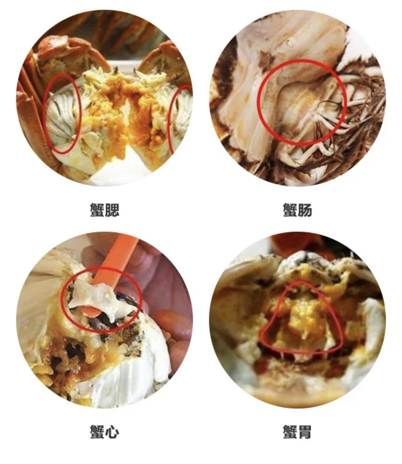 上海人居然把大闸蟹吃成非物质文化遗产传人手把手演示怎样正确吃蟹