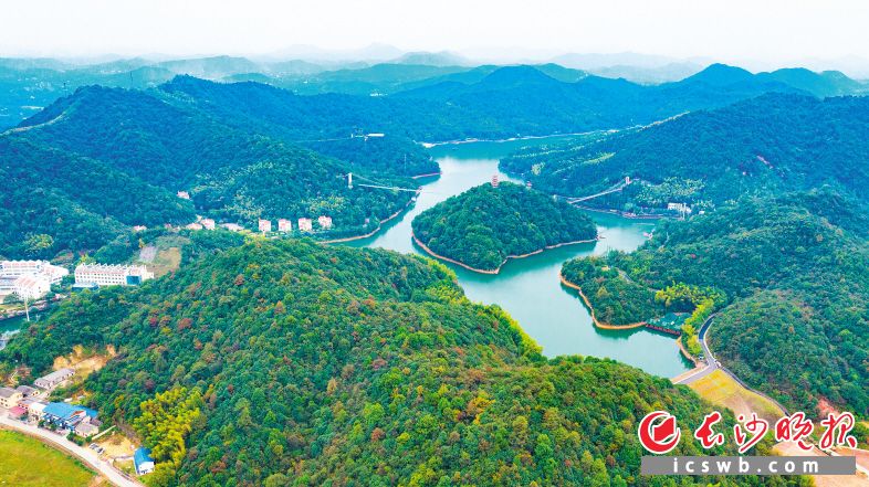 长株潭绿心中央公园征集设计方案,发放调查问卷,长沙南部融城片区发展