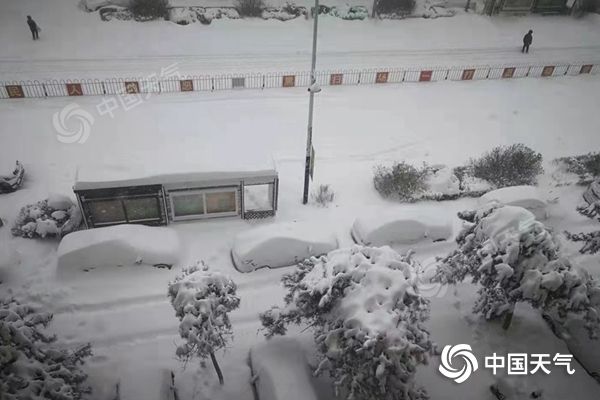 东北、内蒙古强降雪致灾，雪灾来袭该如何应对？ - 世相 - 新湖南