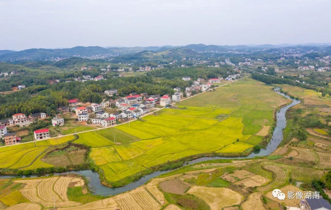 双峰县甘棠镇政务服务赋能乡村发展