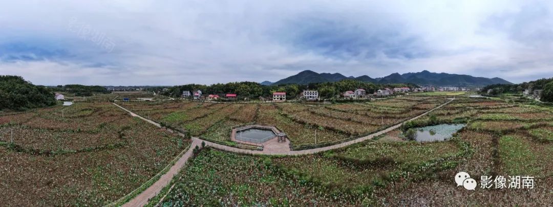 双峰县锁石镇花开幸福来