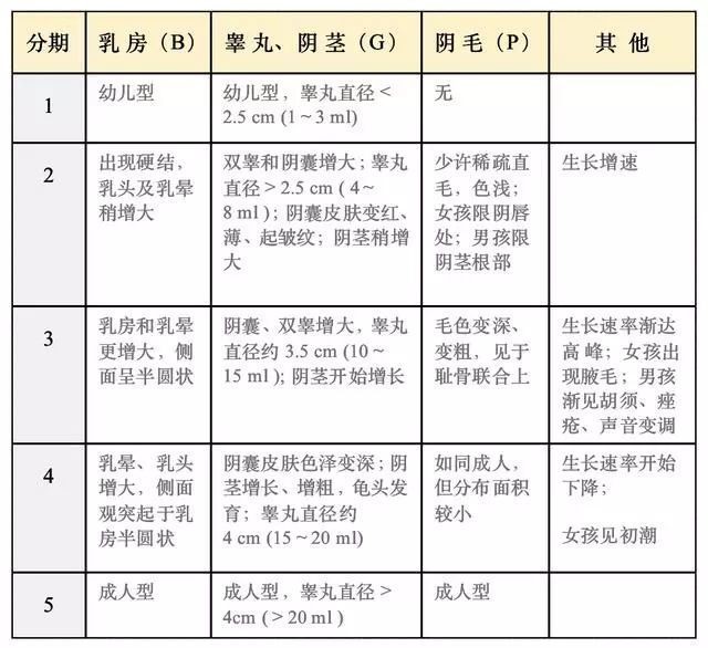 6岁女孩1年长高10厘米?专家:警惕儿童性早熟 - 动态 - 新湖南