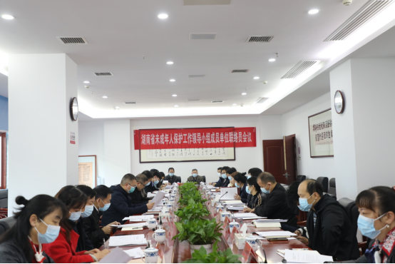 湖南省未保办召开省未成年人保护工作领导小组成员单位联络员会议