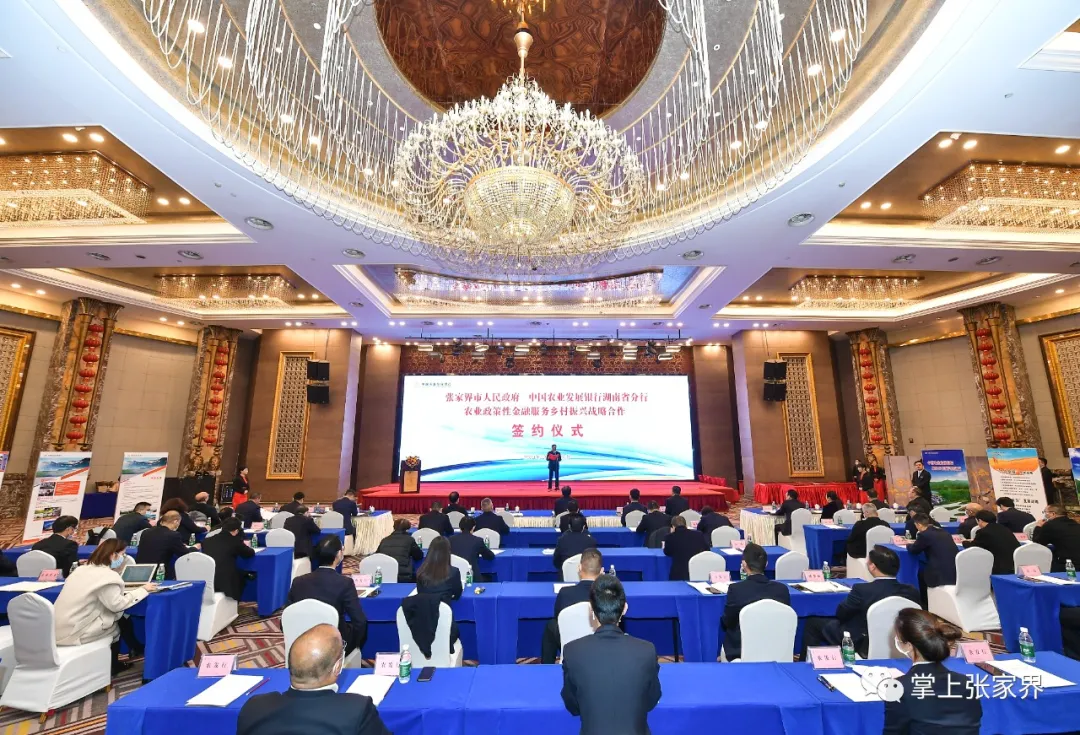 张家界与中国农业发展银行湖南省分行签订合作协议 - 张家界 - 新湖南