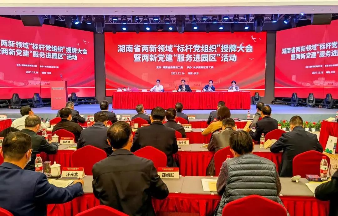 省建筑业协会党支部获评“湖南省两新领域标杆党组织”荣誉称号