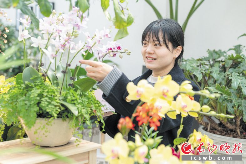“三八”国际妇女节前一天，长沙花卉市场迎来销售高峰