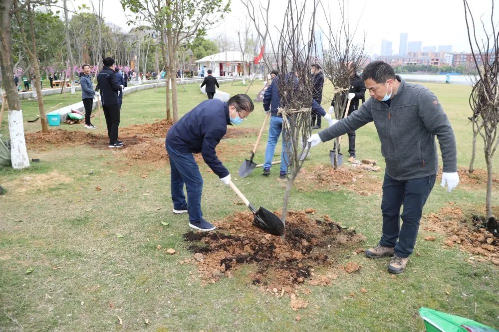 省住建厅开展“城市绿化周”义务植树活动