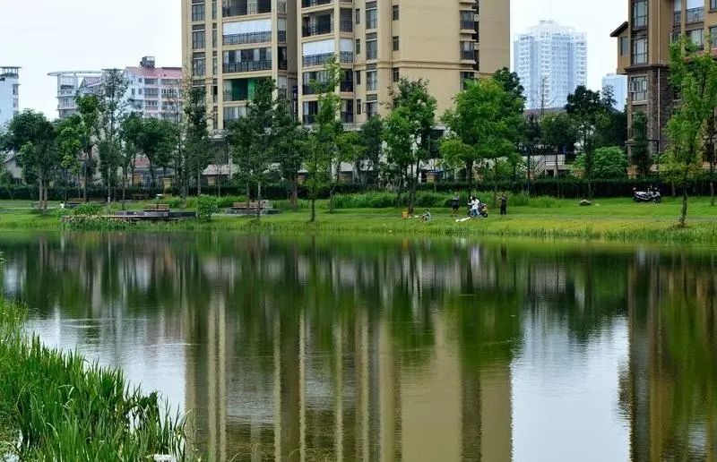 湖南：2022年国家园林城市申报工作正式启动