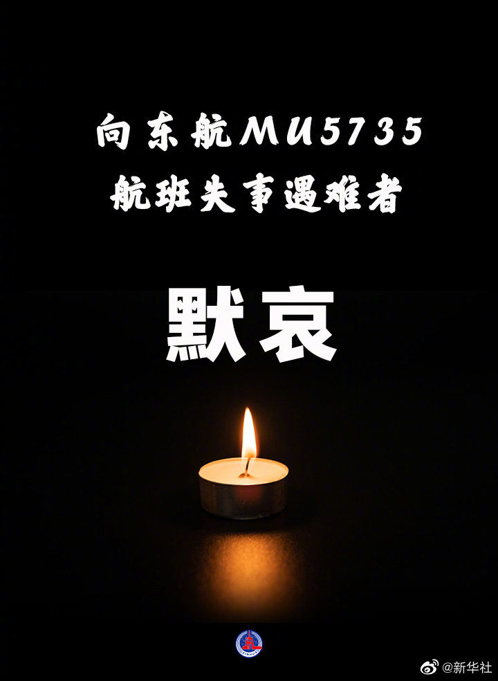 "3·21"东航mu5735航班机上132人全部遇难