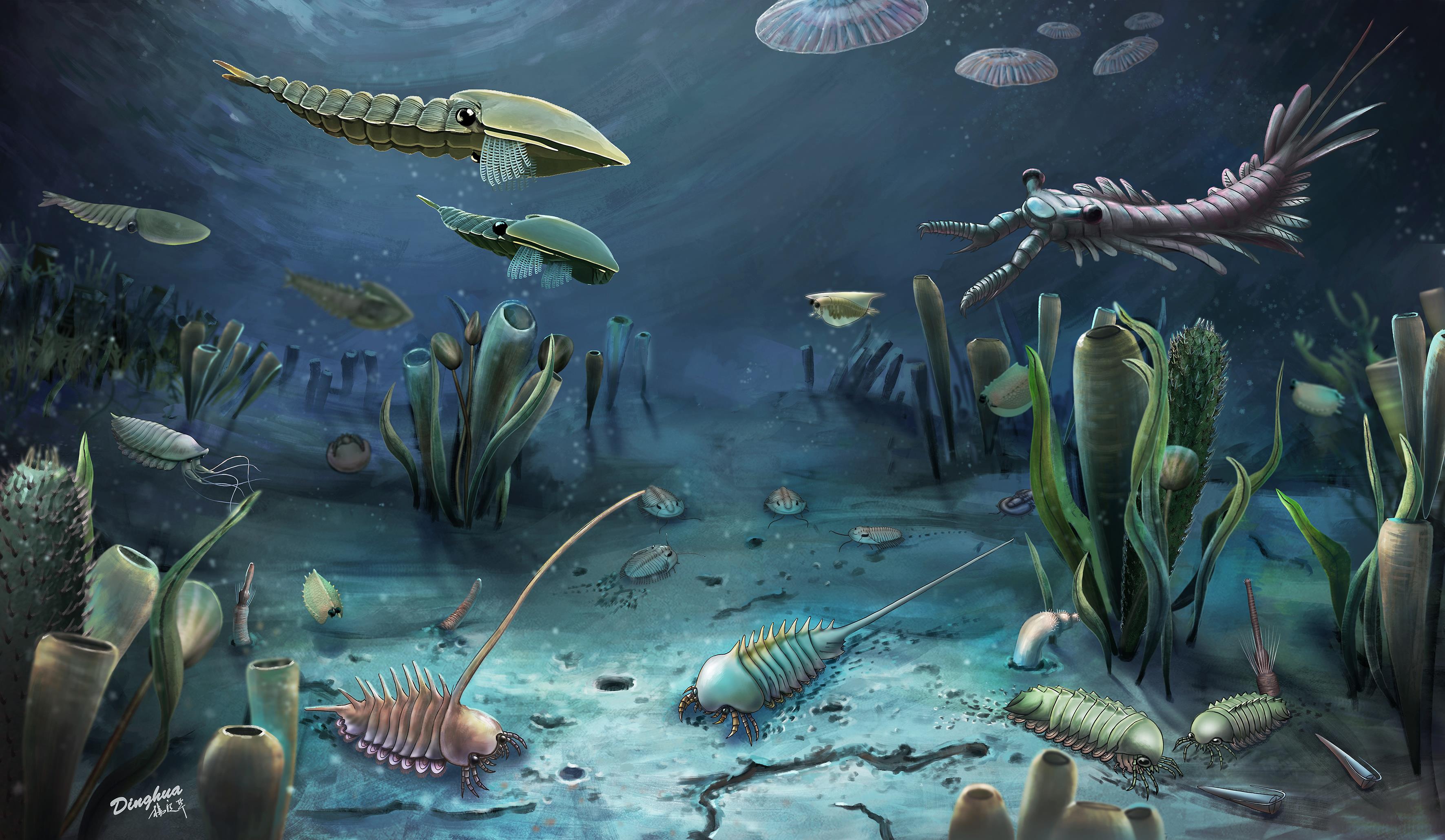 一只5亿年前的“虾”，首次被发现！_绍兴网