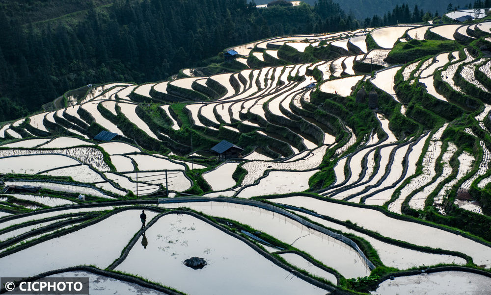 绿遍山原白满川
