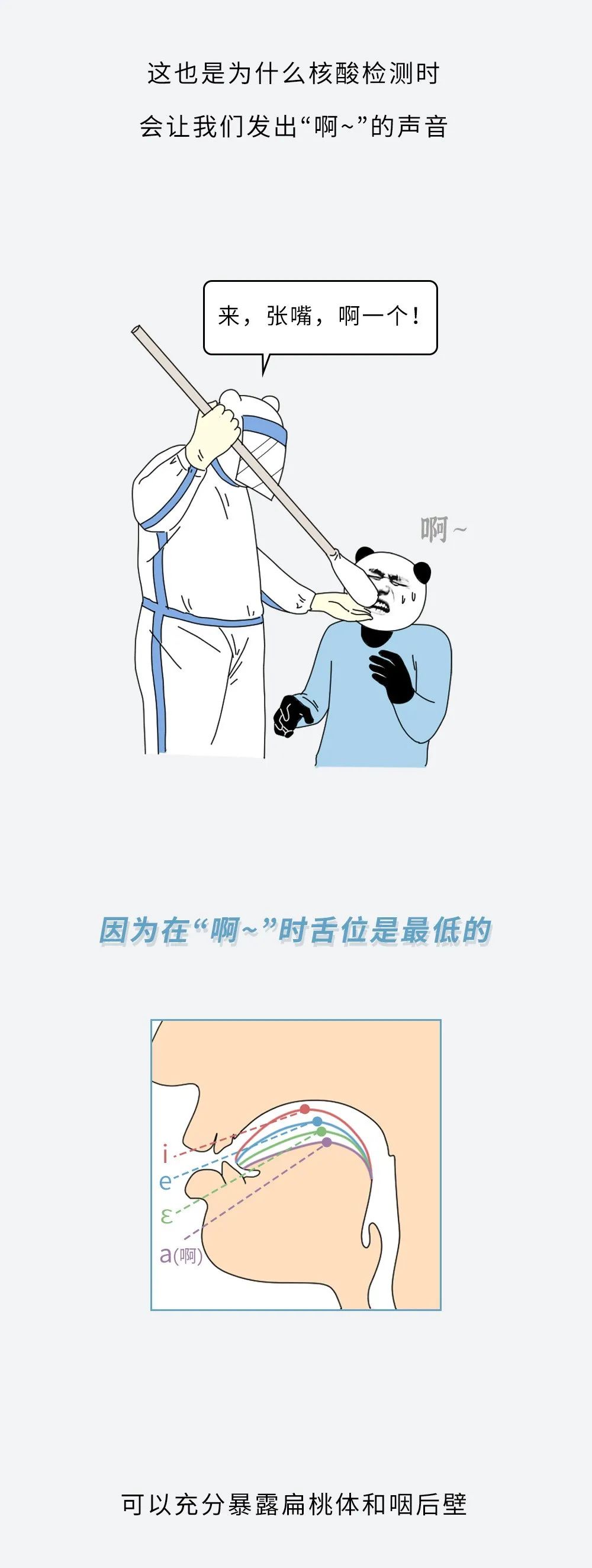 做了那么多次核酸,终于知道捅的是哪里了!