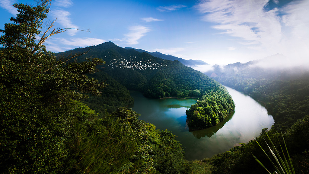 湖湘自然歷丨在水一方①瀏陽河,河邊有片什麼溼地-新湖南