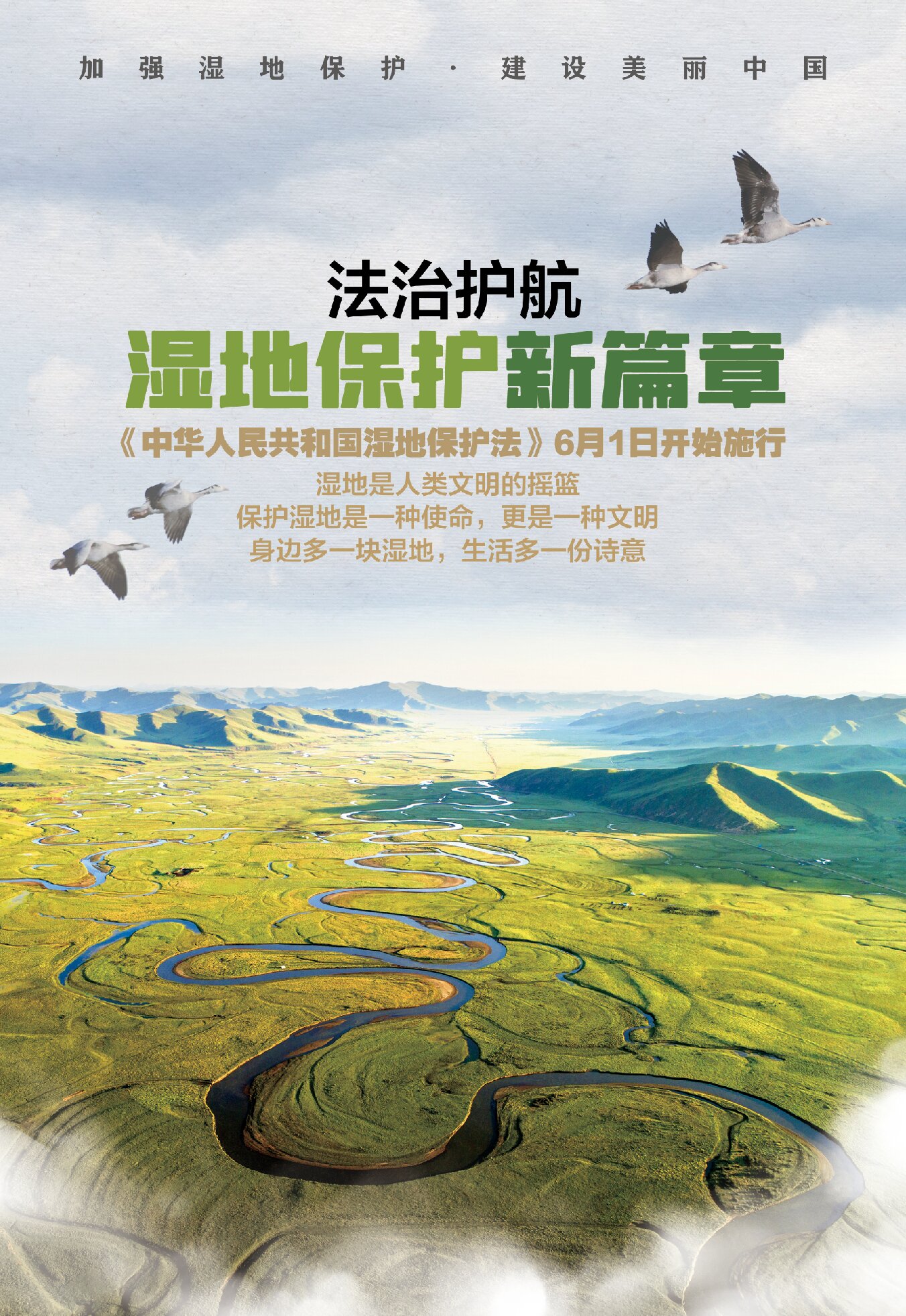 2020杭州湾国家湿地公园-旅游攻略-门票-地址-问答-游记点评，慈溪旅游旅游景点推荐-去哪儿攻略