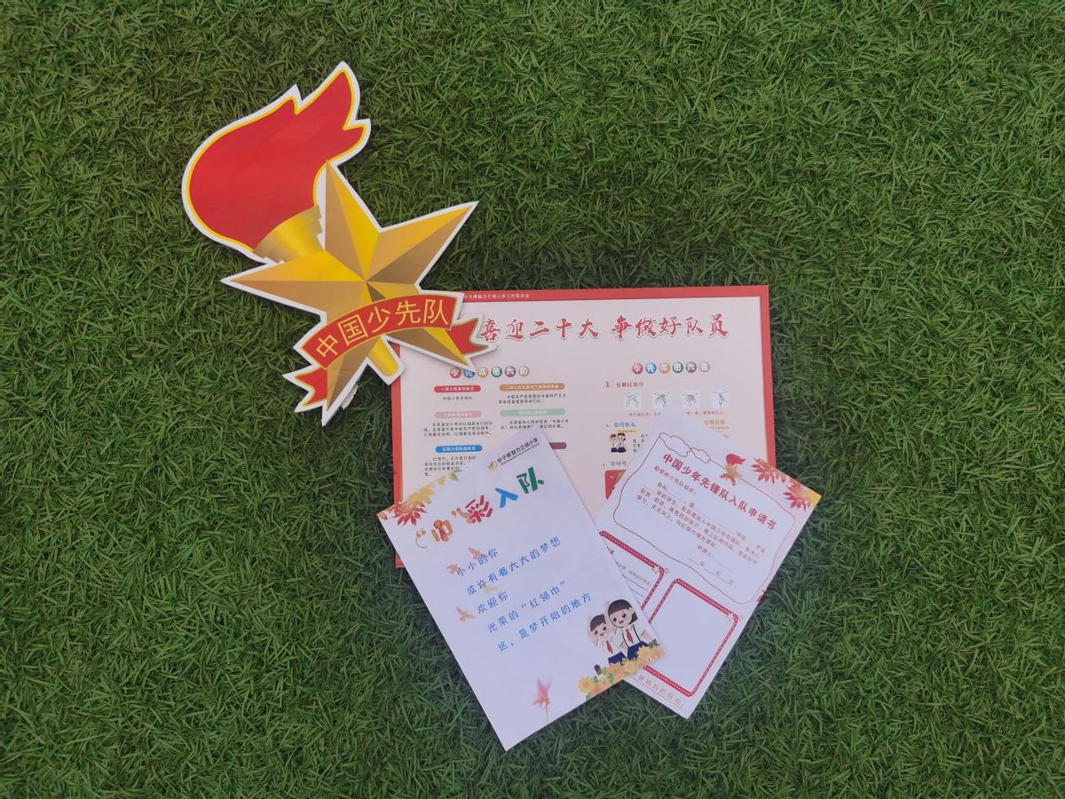 砂子塘魅力之城小学开展"喜迎二十大,争做好队员"入队争章活动-新湖南