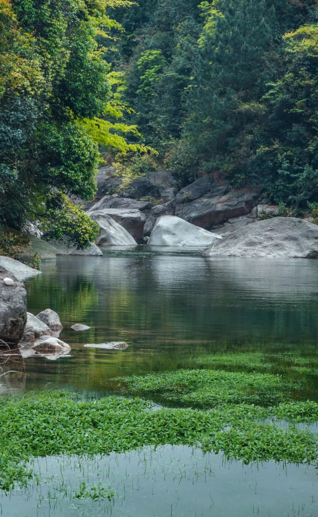 热热热!快来永州避暑胜地,气温低至20