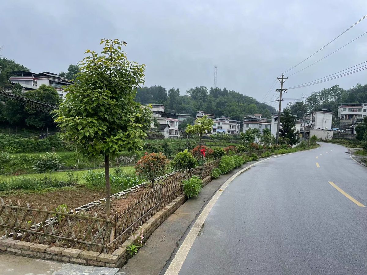 凝心聚力成效显富民增收成果丰凤凰县阿拉营镇化眉村乡村振兴工作纪实