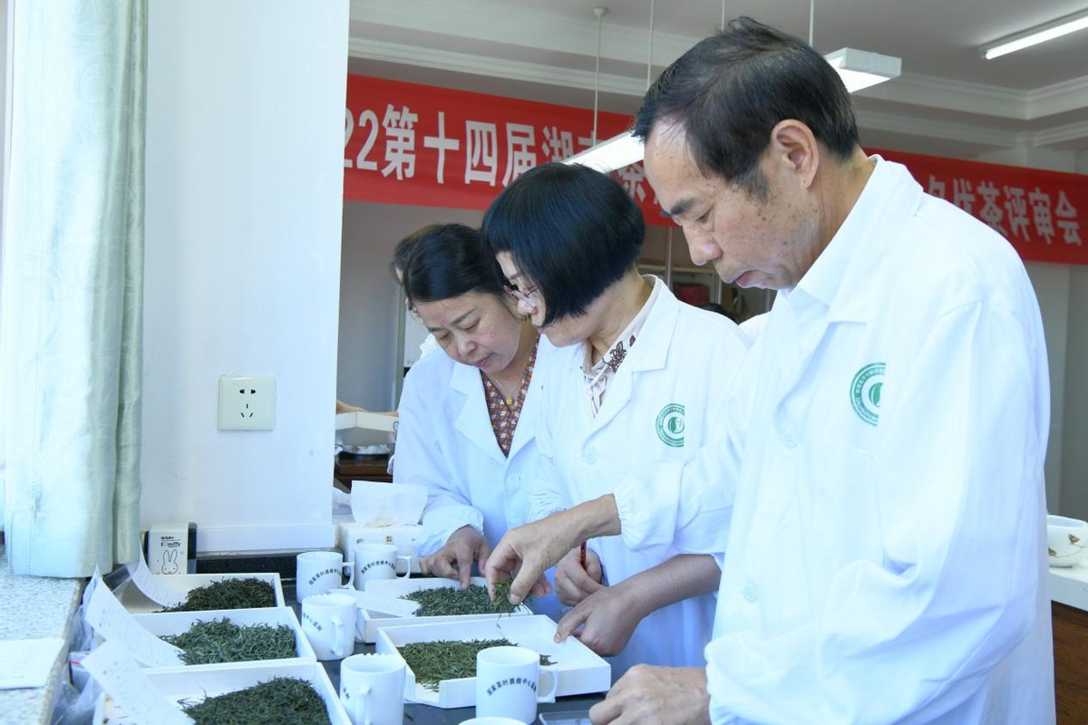 2022湖南茶博會“茶祖神農杯”名優茶評審會在長沙舉行