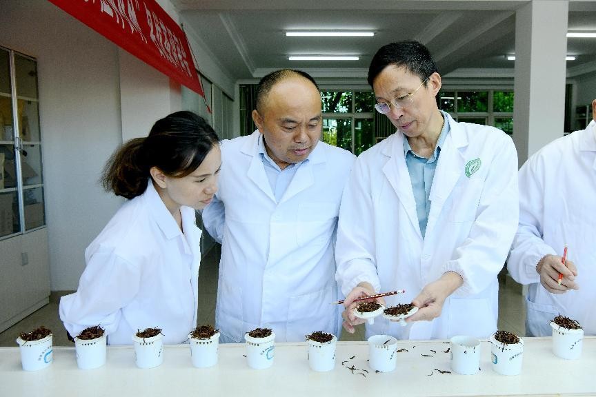 2022湖南茶博會“茶祖神農杯”名優茶評審會在長沙舉行