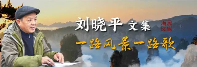 艺评｜张绍民：以童为师 ——评《指缝间看你——刘晓平儿童诗选》