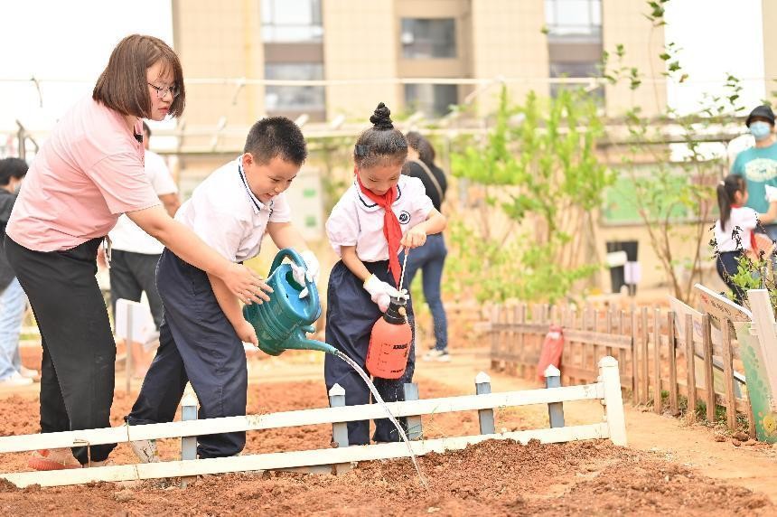 雨花区泰禹第二小学2102星澜中队开展中草药种植实践活动