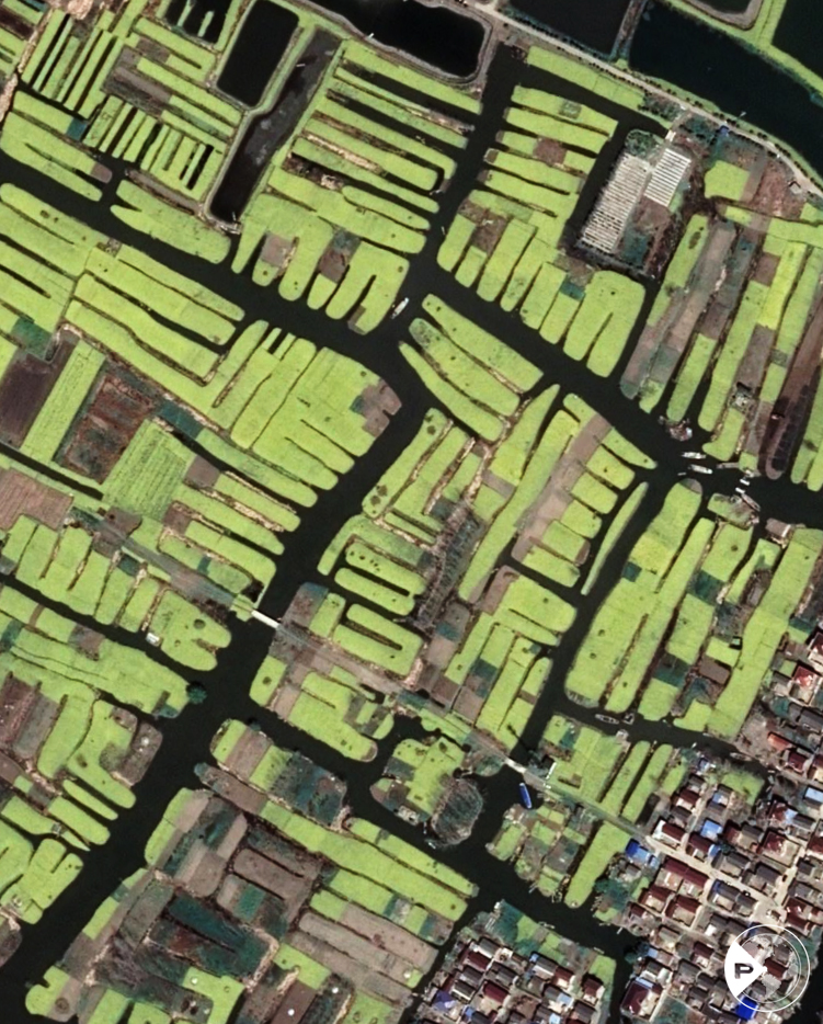 世界粮食日岁稔年丰遥感卫星视角瞰多彩农田