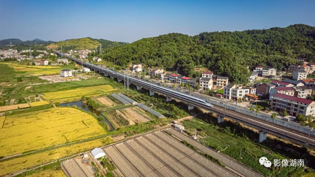 9月6日,涟源市杨市镇,高铁在田野上飞驰而过.